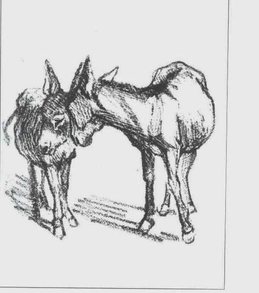 Gedanken(k)reise: Das Pferd und der Esel