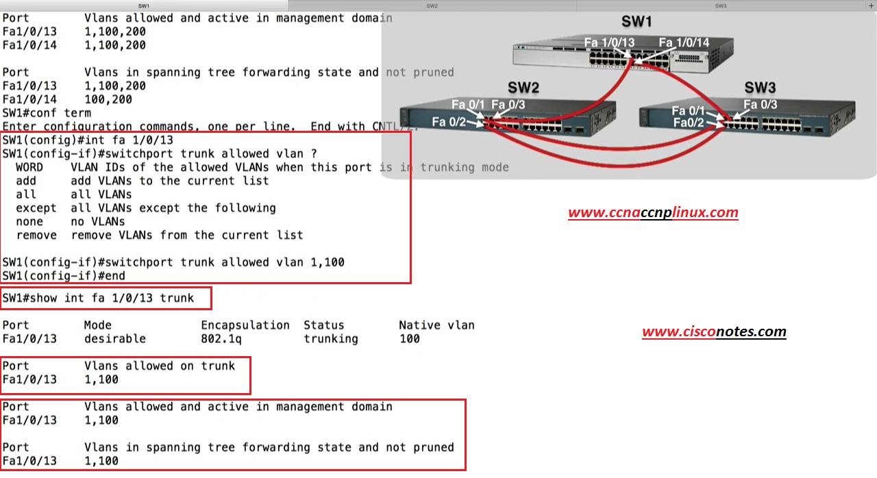 Trunking & Pruning Configuration Best Cisco CCNA CCNP and Linux