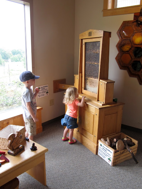 Indoor Bee Exhibit at The Wilderness Center