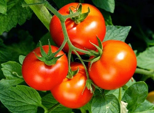 Related image