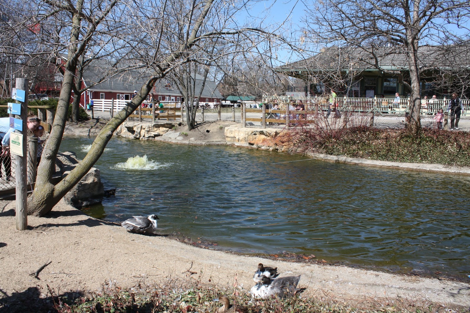 A Little Time and a Keyboard Cosley Zoo in Wheaton, IL