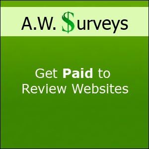 Earn money from Survey Jobs