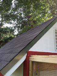aspen flat top complete chicken coop 10