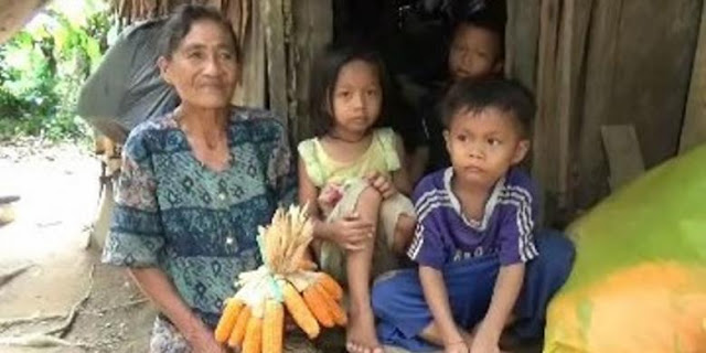 Walaupun Tinggal Ditengah Hutan Nenek Lempan Selalu Ajarkan Cucunya, Bahwa Sekolah yang Paling Utama