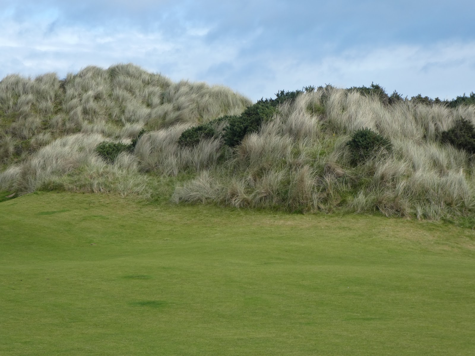 Free Program Best The Back Horn Rar