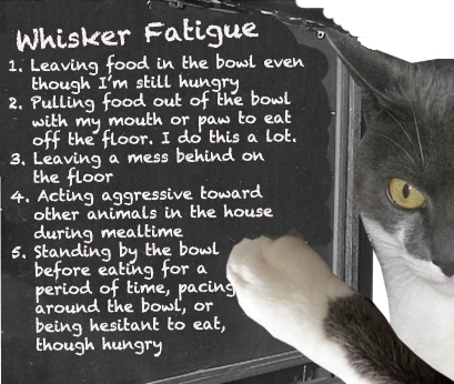 Does Your Cat Have Whisker Fatigue? #sponsored