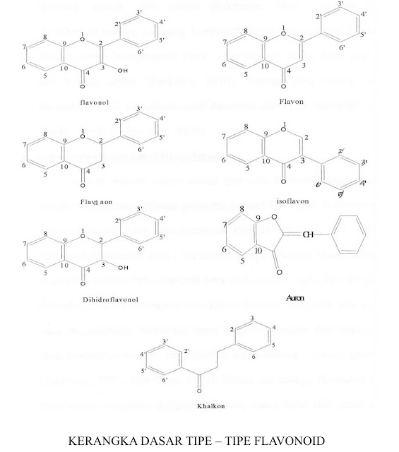 My Chemistry Journey FLAVONOID