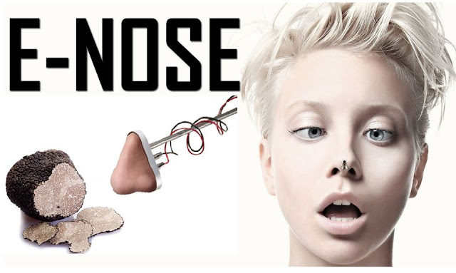 Electronic Nose Project Electronic Nose Project,Electronic Nose Abstract