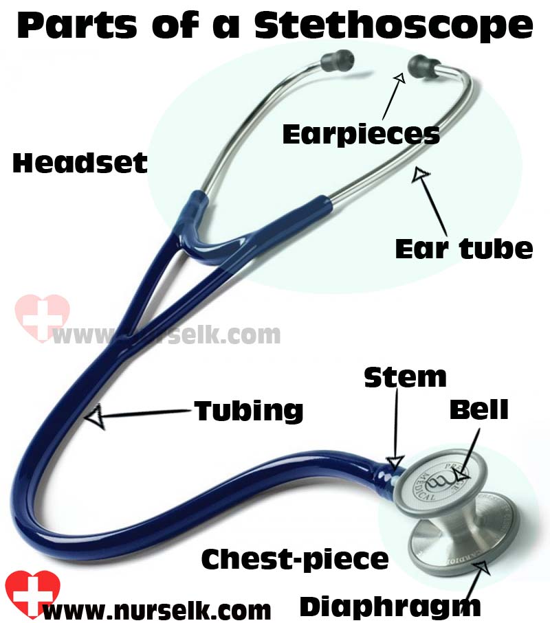 Parts of a Stethoscope | Nurselk.com