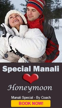 Manali Honeymoon Packages