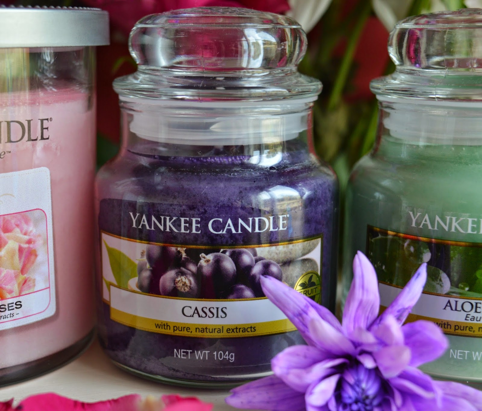 Kelli S Northern Ireland Garden Flowers Fruits And Tree Advice