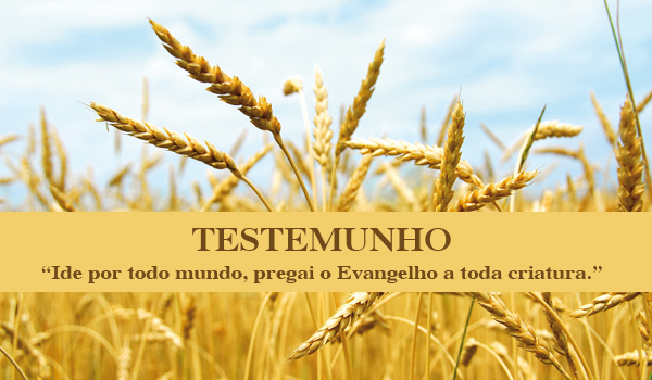 Resultado de imagem para IMAGEM DE IDE E PREGAI