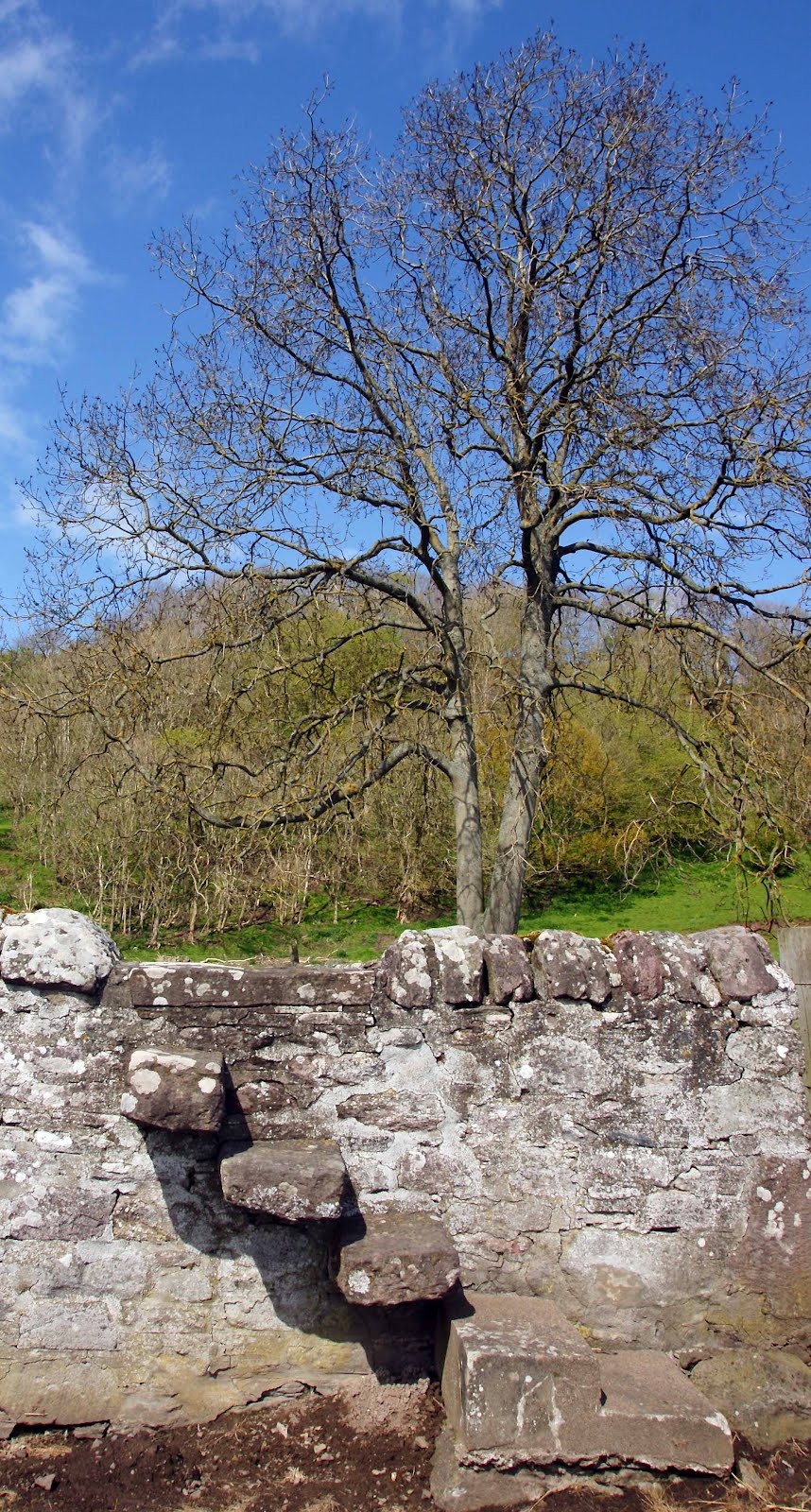 Tour Scotland Tour Scotland Photographs Kirkton of Mailer Cemetery