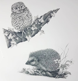 09-The-Owl-and-the-Hedgehog-Kerry-Jane-Detailed-Black-and-White-Wildlife-Drawings-www-designstack-co