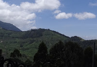 munnar homestay with mountian view, hometay in munnar wth sceinc location