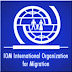 Latest Job Vacancies: International Organization for Migration (IOM) Fresh Job Recruitment (3 Positions)