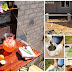 16 DIY Backyard Projects You Can Finish In One Weekend