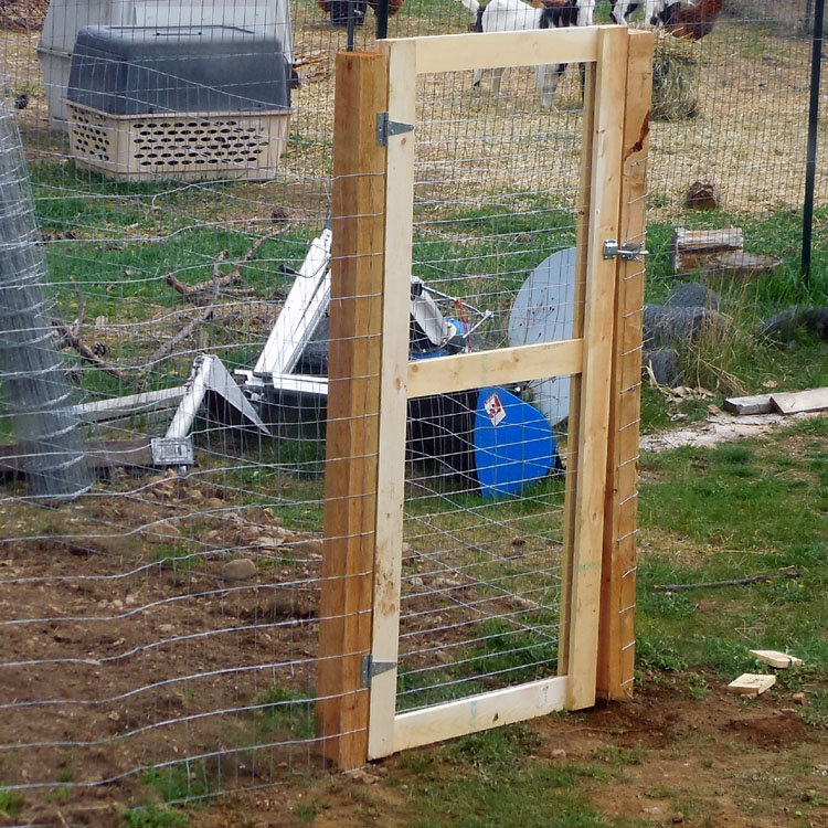 How To Build A Garden Gate With Chicken Wire Chicken Wire but no