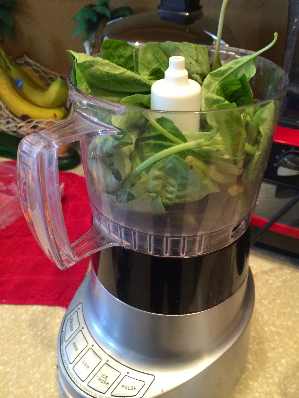 Homemade Paleo Pesto Recipe!