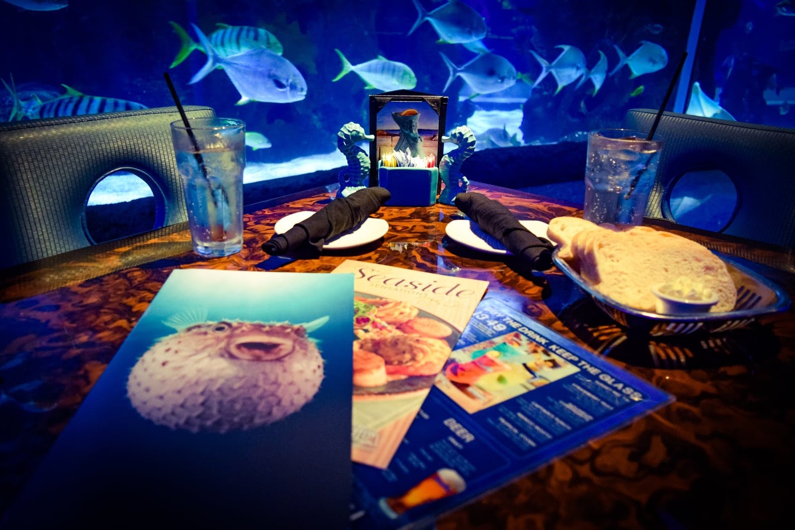 Aquarium An Underwater Dining Adventure In Nashville The Small Things