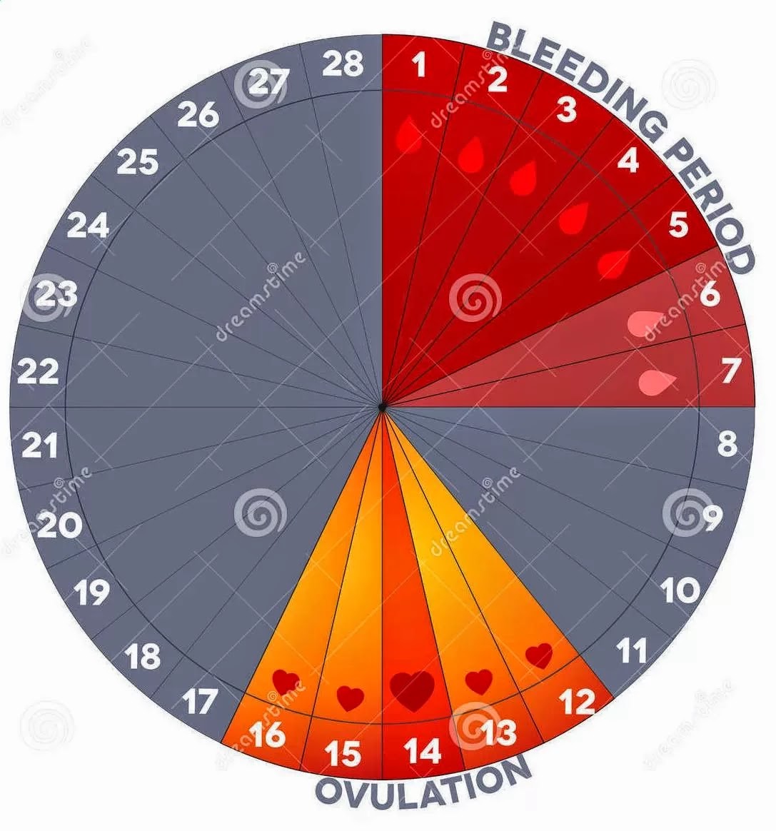 Masa Suburnya Wanita Setelah Haid Blogs De Famosos Y Cotilleo