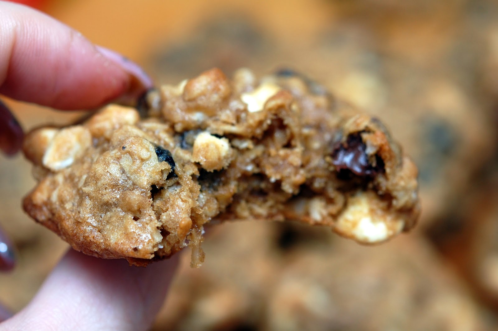 FULLY LOADED OATMEAL RAISIN COOKIES Hugs and Cookies XOXO