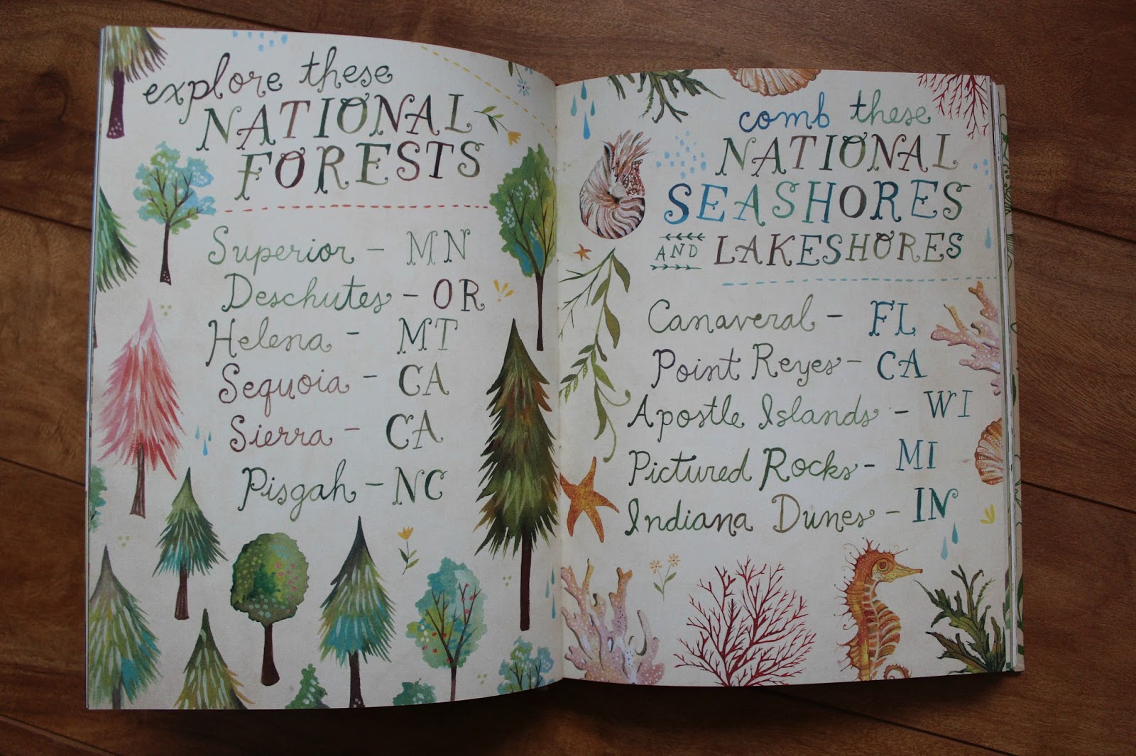 How to Be a Wildflower A Field Guide by Katie Daisy Book Review