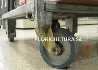 Floricultura 34: Carros para transporte y almacenamiento