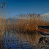 Albania part of Ohrid Lake in UNESCO in June?
