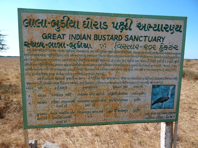 Kutch Great Indian Bustard Sanctuary