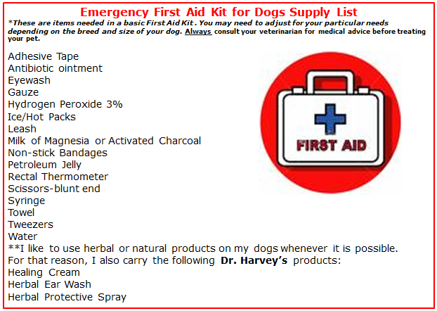 Creating an Emergency Travel First Aid Kit