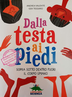 Dalla testa ai piedi