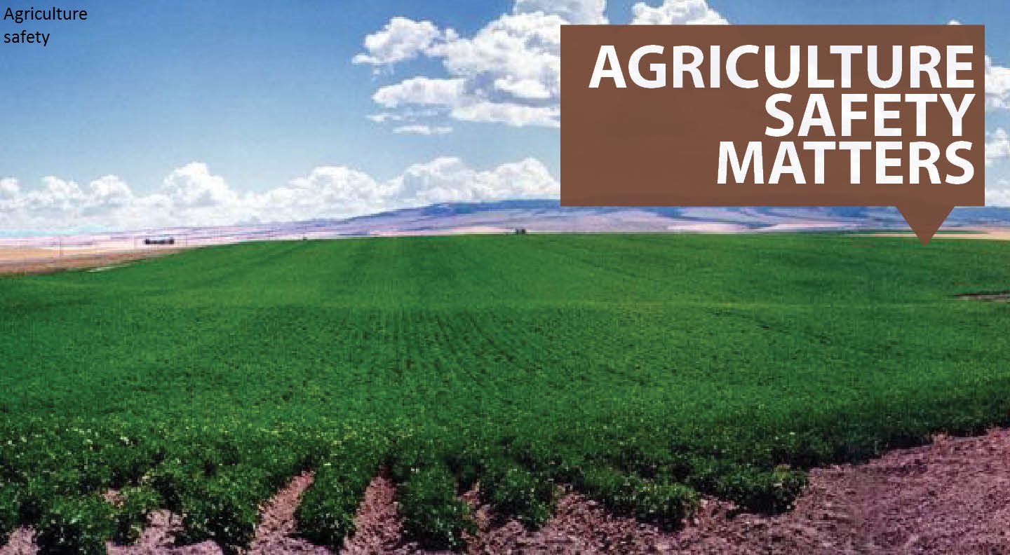 Safety in Agriculture for Youth Farming