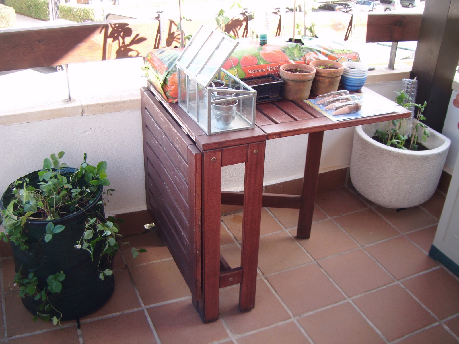 Cottoncloud: Los inicios de mi huerto urbano / The beginning of my