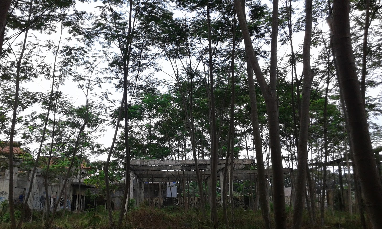 Hasil gambar untuk Pabrik Engsun Dadaha