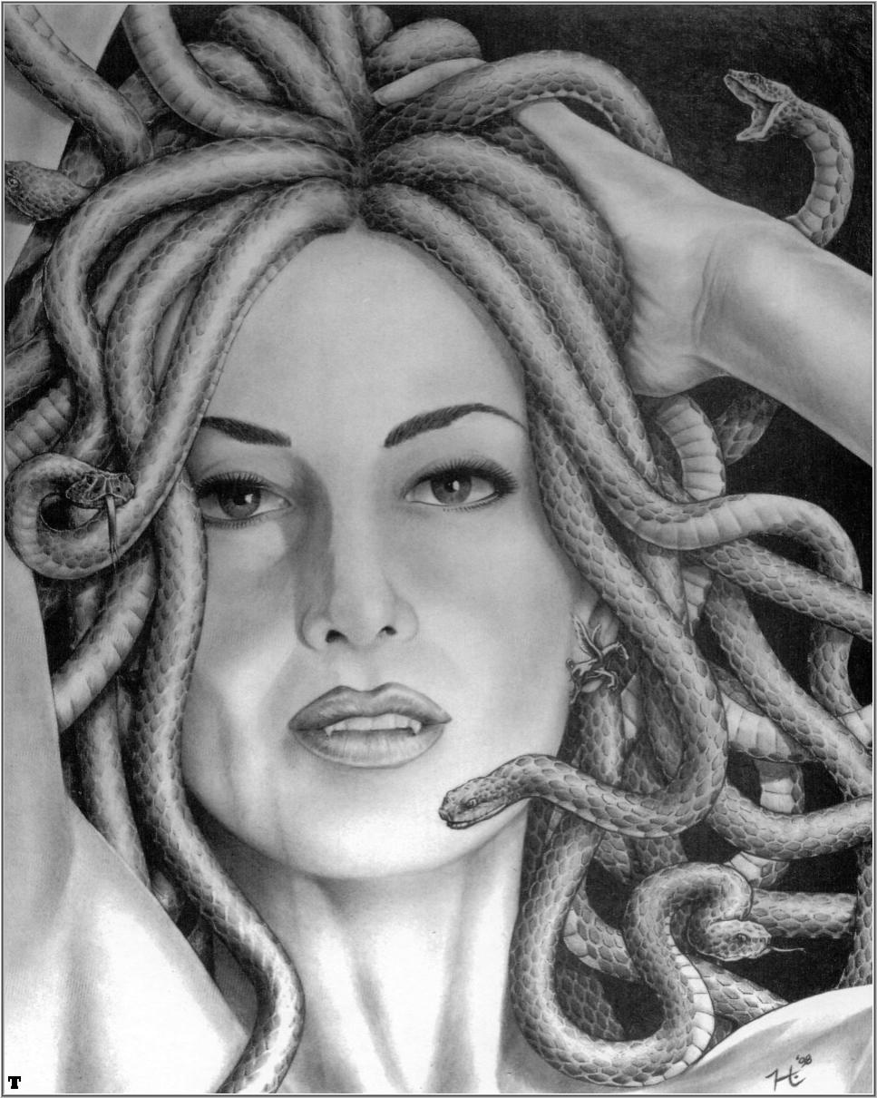 pictures of medusa pictures of medusa