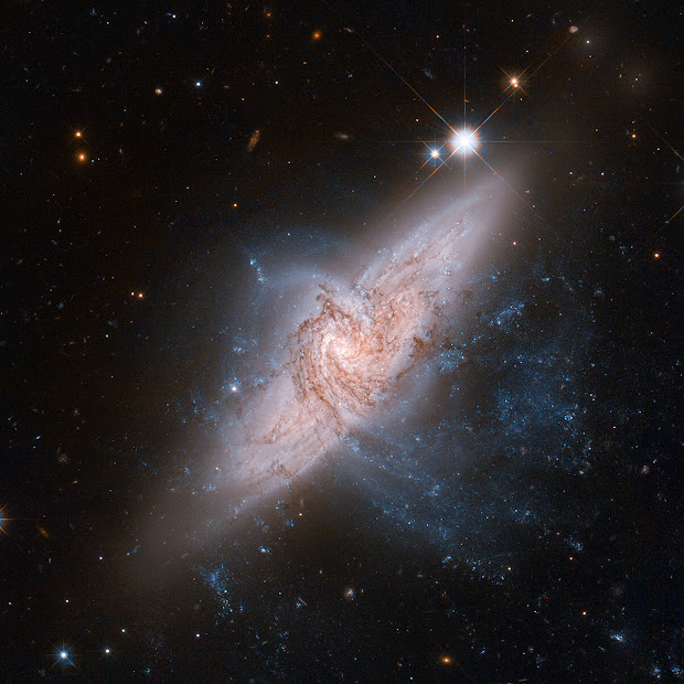Overlapping Galaxies NGC 3314: a trick of perspective!