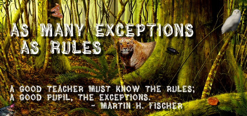 As Many Exceptions As Rules
