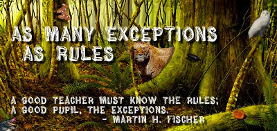 As Many Exceptions As Rules