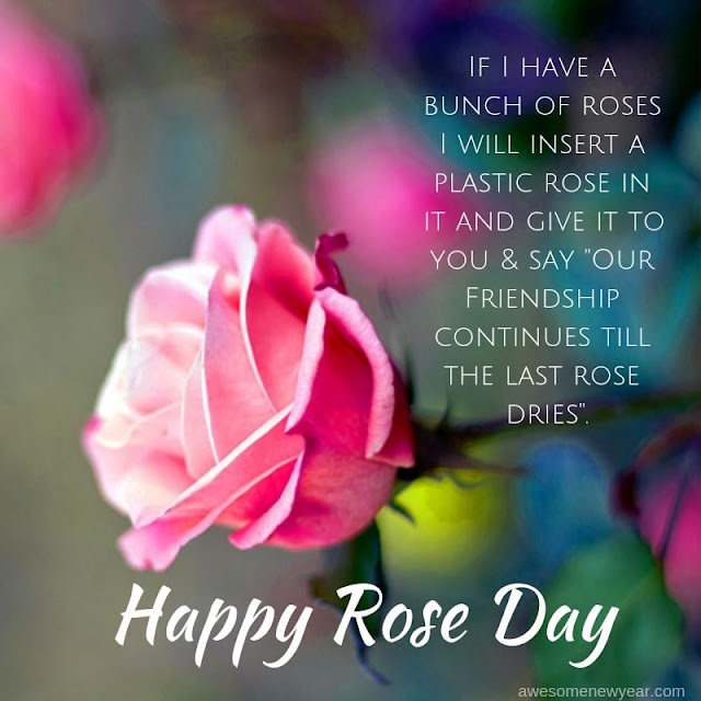 Happy Rose Day 2019 Quotes 