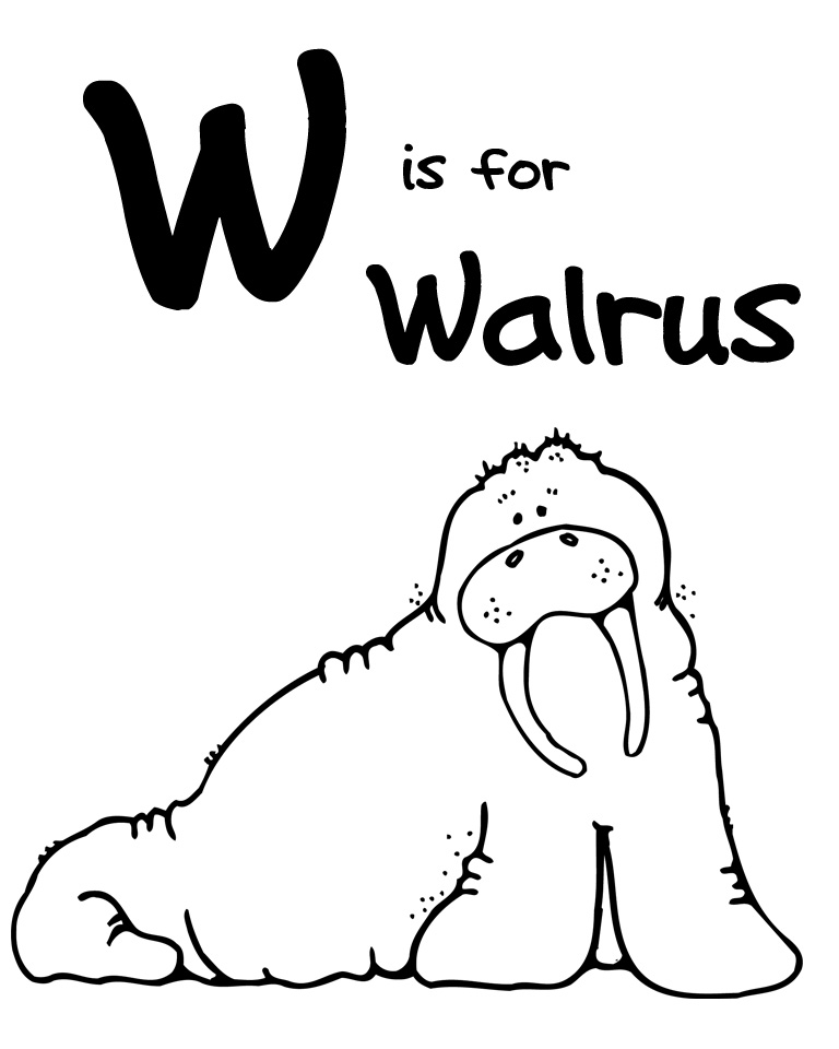 walrus coloring pages for kids - photo #41