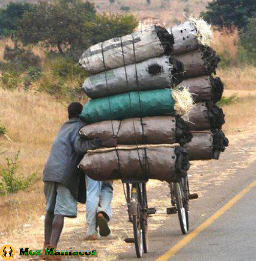 Bicicleta para cargas