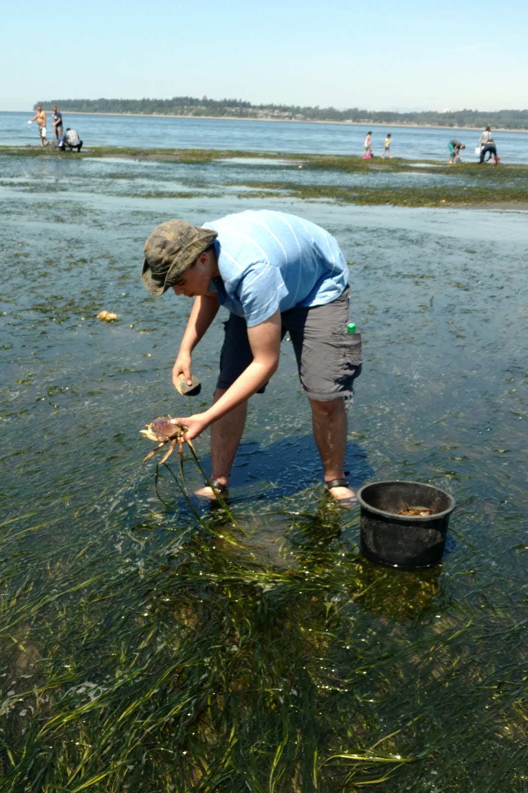 My View of the Honeypot Birch Bay Tide Pooling