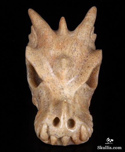 17-Dinosaur-Sauropoda-Fossil-Skull-Skullis-Crystal-Skulls-Gemstone-Sculptures-and-Jewelry-www-designstack-co