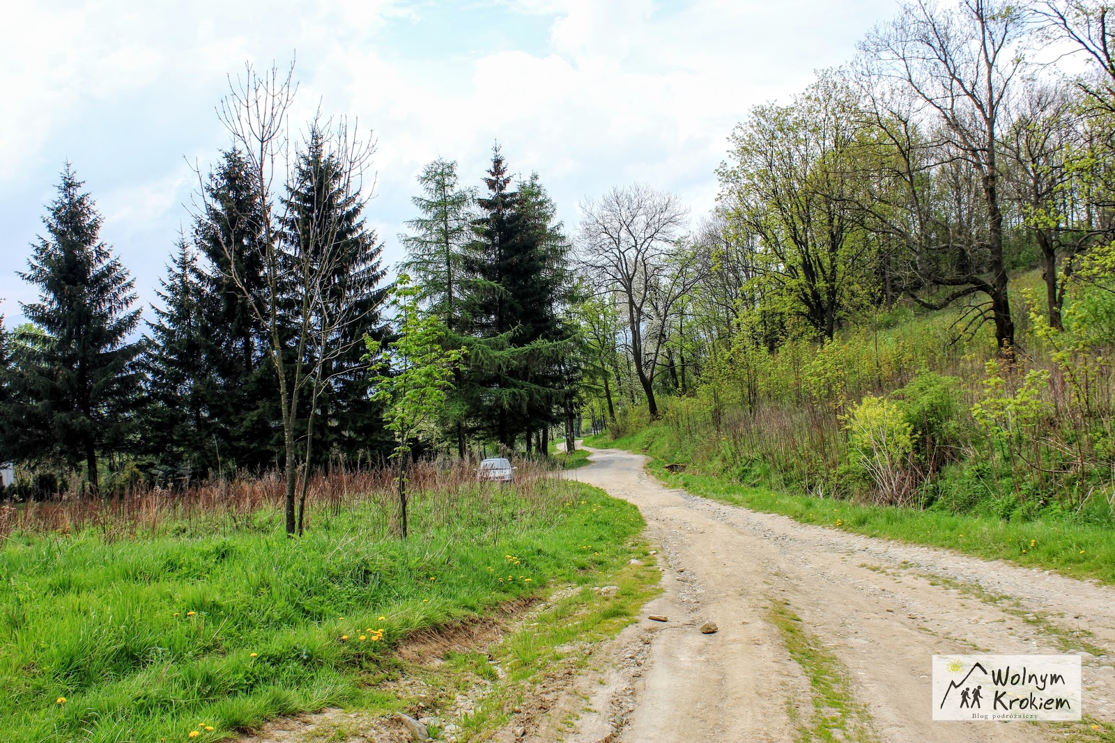 Szlak na Skopiec najwyższą górę w Górach Kaczawskich (KGP) Wolnym