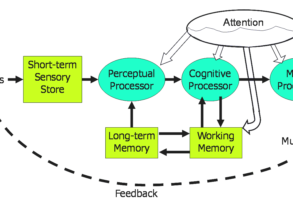 Human Processor Model Human Model