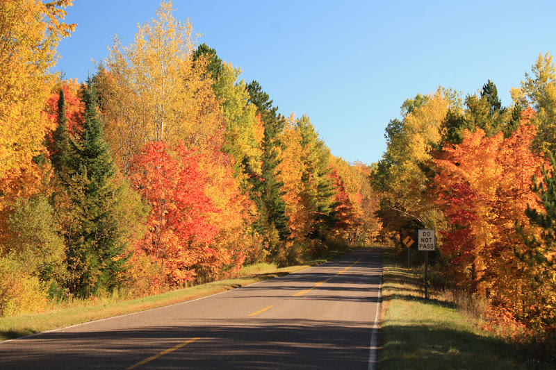 Nomadic Newfies Fall Color in the Porcupine Mountains