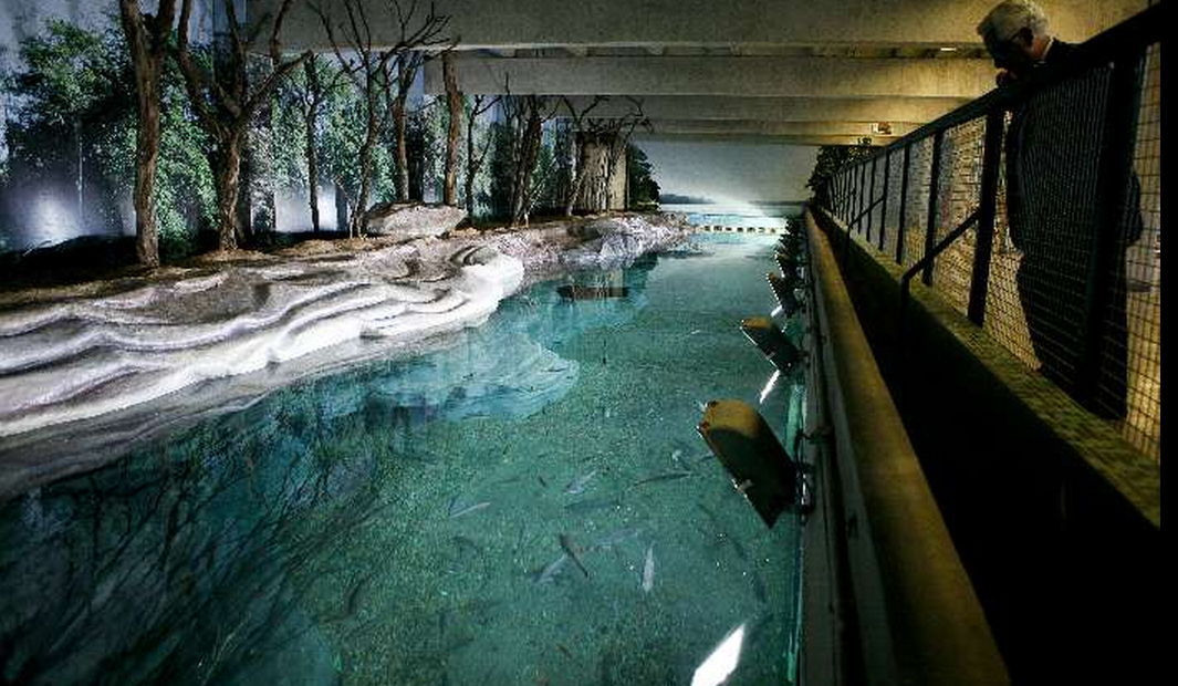 ciencias Zoológico de Belo Horizonte. ciencias Zoológico de Belo Horizonte.