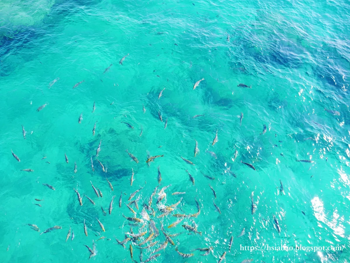 沖繩-推薦-景點-部瀨名海中公園-海中展望塔-玻璃船-ブセナ海中公園-自由行-旅遊-Okinawa-busena-park