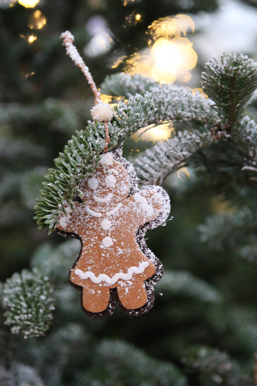 Bad Cannstatt Januar 2019